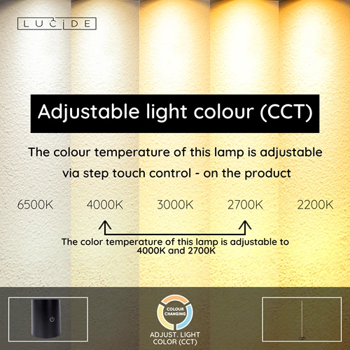 Lucide BRAGA - Floor Lamp -  Ø 30 cm - LED Dimb. - CCT - 1x22W 2700K/4000K - Coffee | Premium - USP